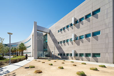 COLLEGE OF EDUCATION MATURE LANDSCAPES